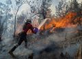 Declaran 13 municipios en emergencia por incendios forestales en Oaxaca - El Sol de México