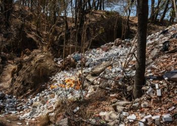 Encuentran basurero ilegal de fármacos caducos en Tlaxcala - El Sol de México