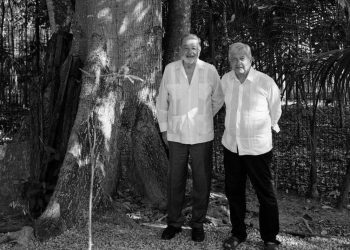 Evalúan Slim y AMLO avance del Tren Maya en Chiapas - El Sol de México