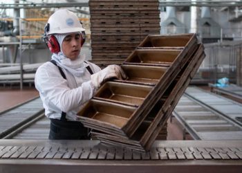 Exhorta STPS hacer conciencia de que lesiones y muertes por accidentes laborales pueden prevenirse - El Sol de México