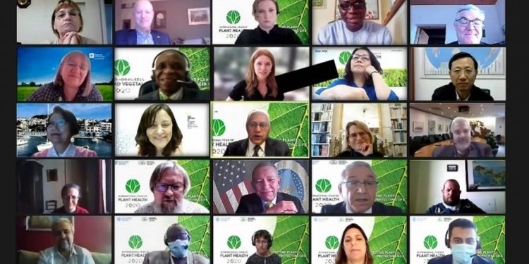 FAO establece normas fitosanitarias para facilitar comercio de alimentos - El Sol de México