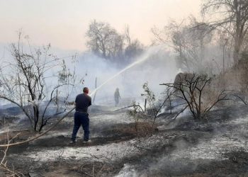Guerrero, en etapa crítica de incendios forestales: Protección Civil