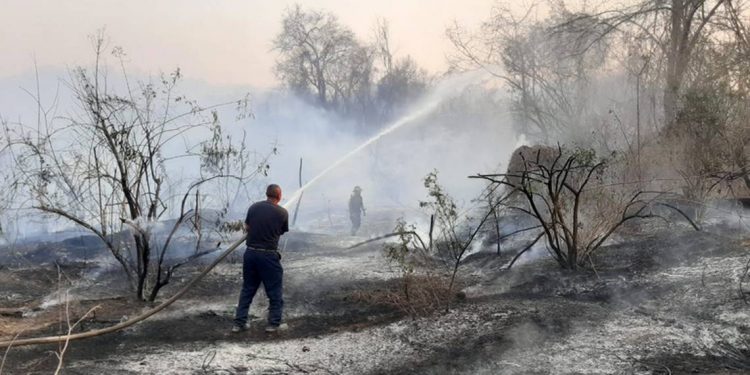 Guerrero, en etapa crítica de incendios forestales: Protección Civil
