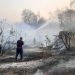 Guerrero, en etapa crítica de incendios forestales: Protección Civil