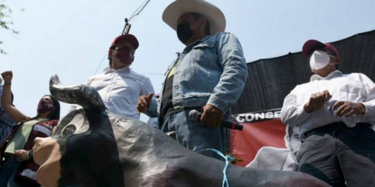 INE perfila mantener las sanciones a Félix Salgado y Raúl Morón - El Sol de México