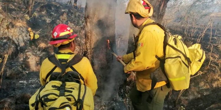 Incendio en el Bosque de la Primavera de Jalisco afecta 4 mil 500 hectáreas de superficie