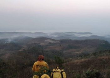 Incendio en el cañón del sumidero devastó 190 hectáreas en 24 horas - El Sol de México