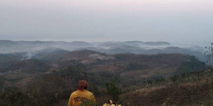Incendio en el cañón del sumidero devastó 190 hectáreas en 24 horas - El Sol de México