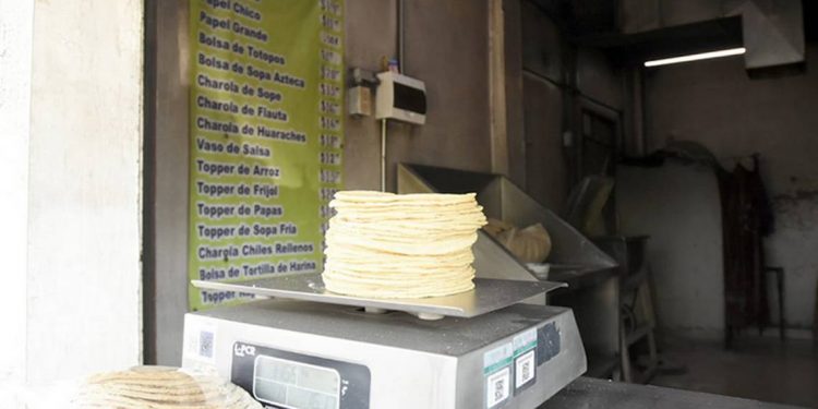 Industriales de la masa y tortilla piden regular la informalidad en el sector - El Sol de México