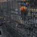 Ingresos de Grupo Carso aumentan 12% anual en primer trimestre - El Sol de México