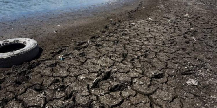 Jalisco se seca: 102 de sus 125 municipios se encuentran en sequía severa - El Sol de México