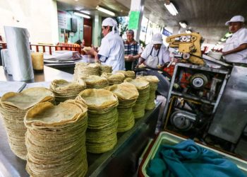 Maíz registra precios históricos en México - El Sol de México