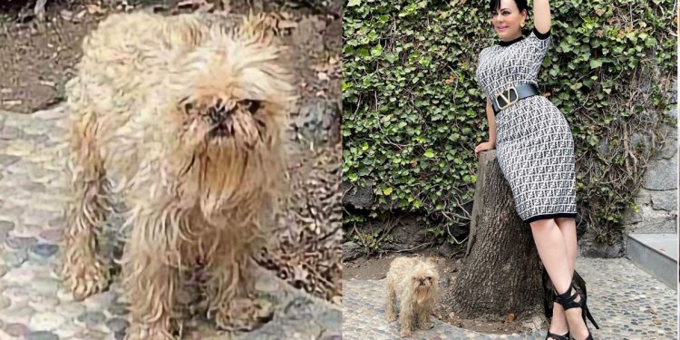 Maribel Guardia perfecta como siempre, pero la criticaron por el aspecto de su perrito