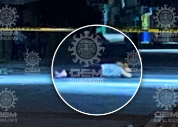 Matan a balazos a esposa de regidor del PVEM en Salvatierra, Guanajuato - El Sol de México