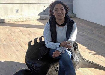 ONU pide al gobierno mexicano investigar desaparición de la activista Claudia Uruchurtu - El Sol de México