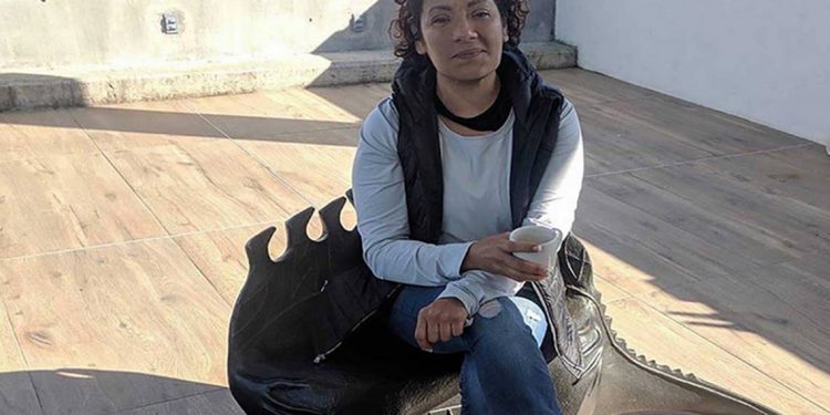 ONU pide al gobierno mexicano investigar desaparición de la activista Claudia Uruchurtu - El Sol de México