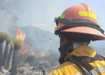 PC considera de "alto riesgo" el incendio forestal en SLP y NL - El Sol de México