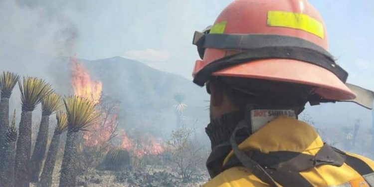 PC considera de "alto riesgo" el incendio forestal en SLP y NL - El Sol de México