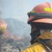 PC considera de "alto riesgo" el incendio forestal en SLP y NL - El Sol de México
