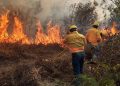 Permanecen activos ocho incendios forestales en Oaxaca - El Sol de México