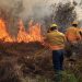 Permanecen activos ocho incendios forestales en Oaxaca - El Sol de México