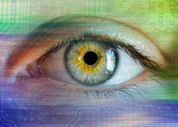 Pie de Nota | El Gran Carnal - El Sol de México