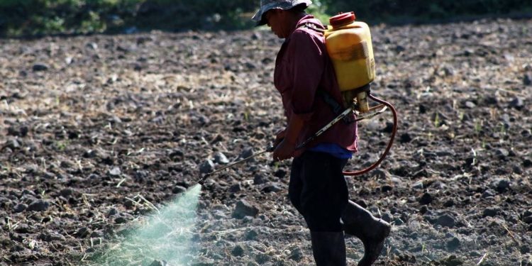 Promoverá Ejecutivo iniciativas en torno al glifosato - El Sol de México