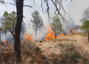 Reportan incendio forestal en la comunidad La Ochoa, Poanas - El Sol de México