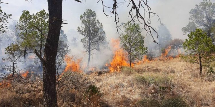Reportan incendio forestal en la comunidad La Ochoa, Poanas - El Sol de México