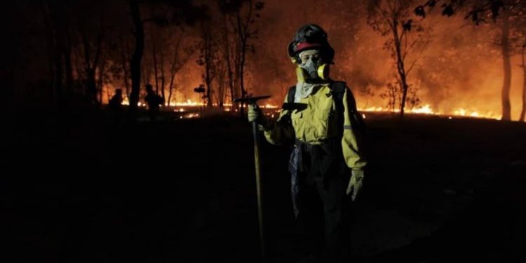 Se complica el combate al fuego en La Primavera