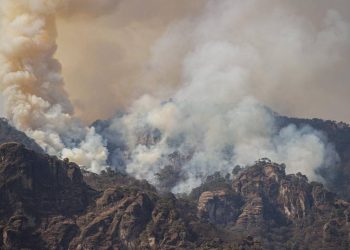 Se complican labores de combate al fuego en Tepoztlán - El Sol de México