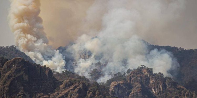 Se complican labores de combate al fuego en Tepoztlán - El Sol de México