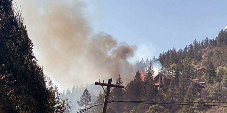 Se registran más incendios en NL, San Luis Potosí y Coahuila - El Sol de México