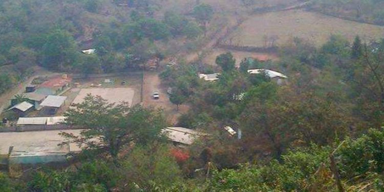 Secuestran y asesinan a ecologista en San Miguel Totolapan, Guerrero - El Sol de México