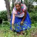 Sembrando Vida margina a las mujeres - El Sol de México