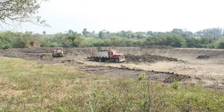 Sequía deja sin agua al campo en norte de Veracruz