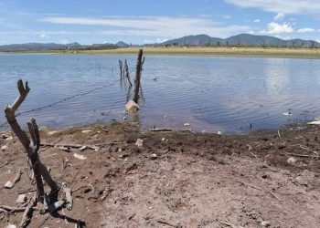 Sierra de Chihuahua enfrenta situación crítica por falta de agua - El Sol de México