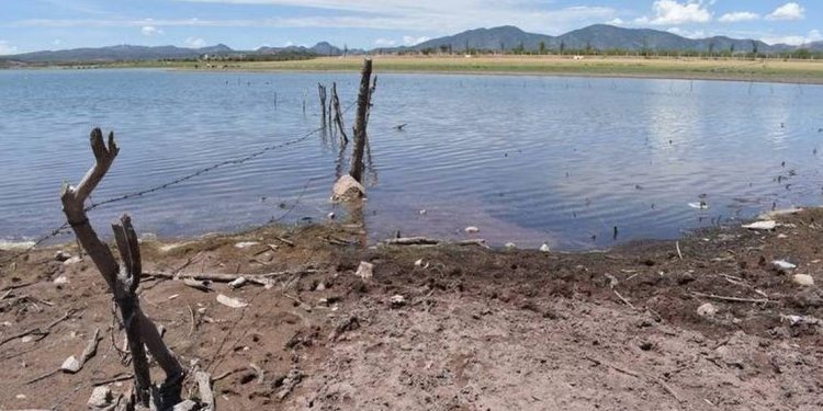 Sierra de Chihuahua enfrenta situación crítica por falta de agua - El Sol de México