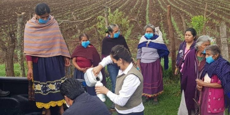 Utilizan agroecología para revertir impacto del cambio climático  