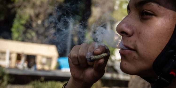 ¿Cómo surgió el 4/20 símbolo de la marihuana? - El Sol de México
