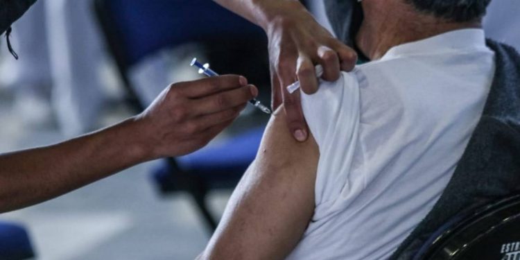 ¿Te registraste en Mi Vacuna y te asignó folio de adulto mayor? Esto debes hacer - El Sol de México