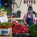 5 puntos sobre el desempleo de mujeres en México durante la pandemia