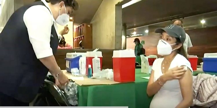 Vacunación a mujeres embarazadas