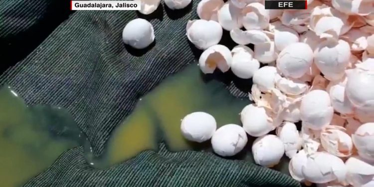 Limpian mares y ríos de México con "pesca" de plástico