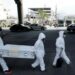 Coronavirus en México: resumen, muertos y casos del 20 de abril - AS México