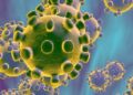 Covid-19: comienza la vacunación gripe-covid en España