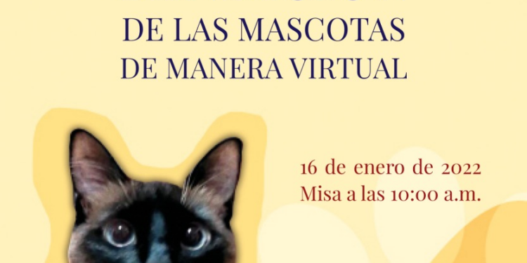 Puede ser una imagen de 2 personas, gato y texto que dice "nበረa Ciatr da Santa Clara de Asís L Parroquia de Puebla. Puc. Arquidiócesis de Puebla Fiesta de San Antonio Abad BENDICIÓN DE LAS MASCOTAS DE MANERA VIRTUAL 16 de enero de 2022 Misa a las 10:00 a.m. Si quiere recibir su certificado de bendición personalizado, envíe el nombre la foto de mascota njpg este correo electronico: parroquiasantaclarapucbla@ com Ys quiere enviar donativo puede hacerlo cuenta 078 4427, BBVA, a nombre de Sergio Valdivia."