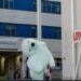 Los mejores memes del oso del cuello roto de la cabalgata de Reyes de Cádiz