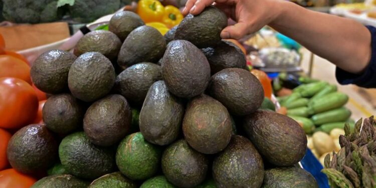 inspector fue amenazado por bloquear envío a EE.UU., dicen fuentes