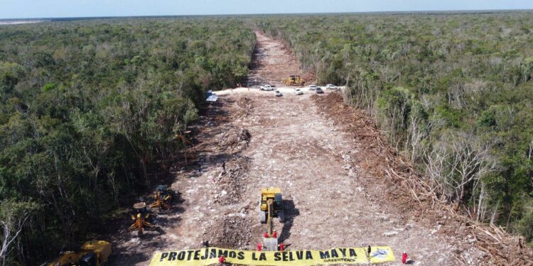 Mira cómo inmovilizan máquinas que construyen el Tren Maya